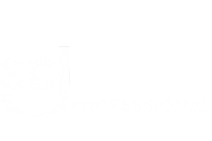 SC Johnson Professional